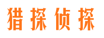 东风市场调查